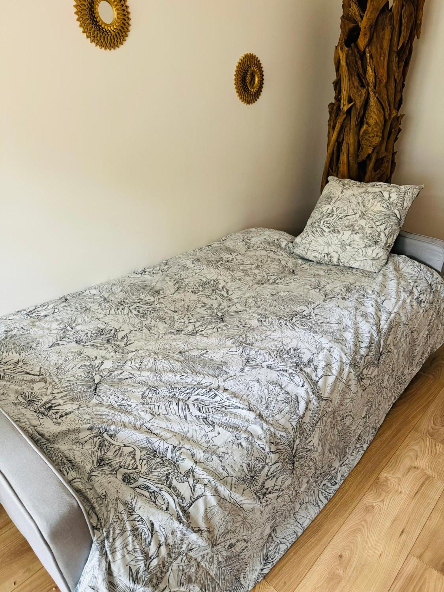 Bel Appartement Proche Parc & Lac 렌 외부 사진